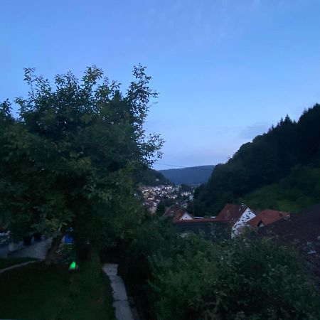 Apartment End Heidelberg Bagian luar foto