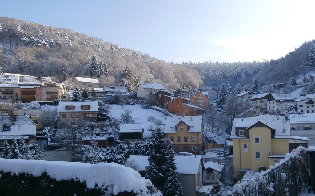 Apartment End Heidelberg Bagian luar foto